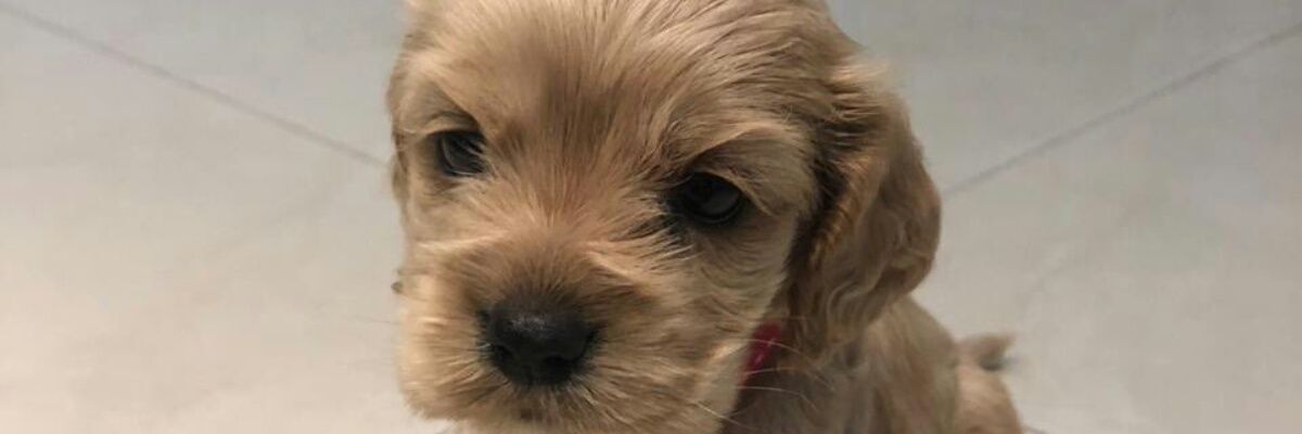nmoran2000's profile banner image