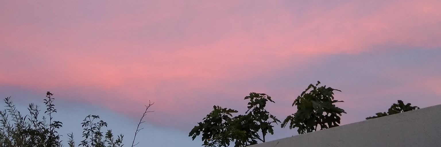 GiuliSoldini's profile banner image