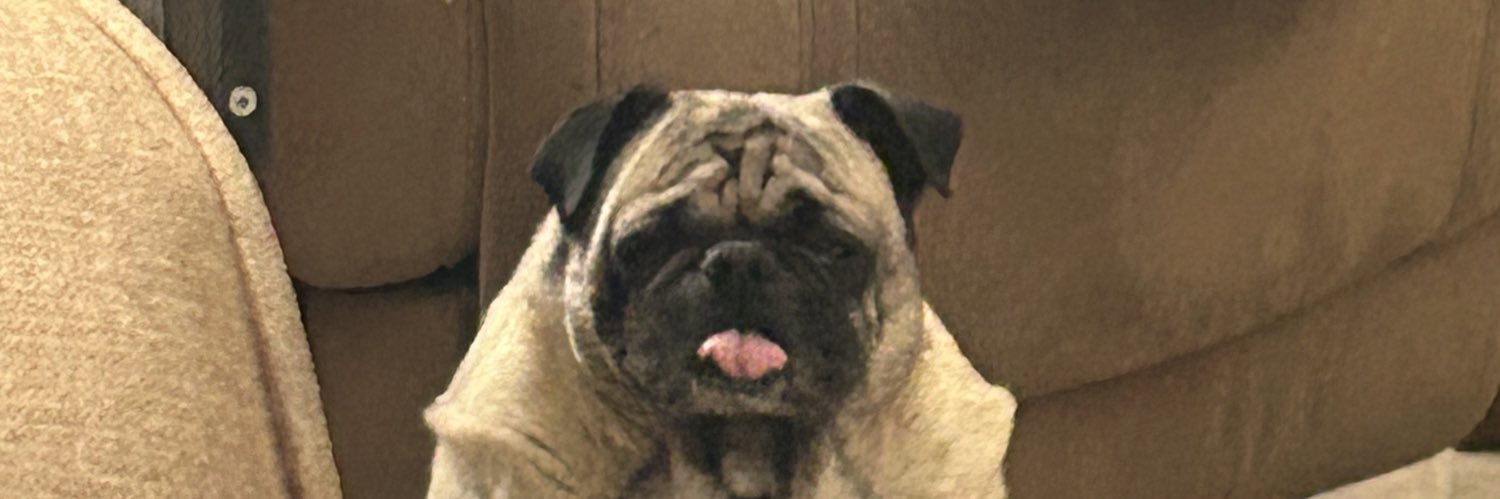 frico9's profile banner image