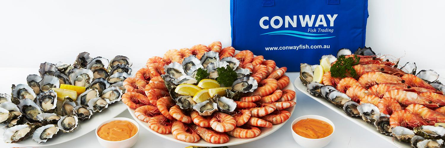 ConwayFish1's profile banner image