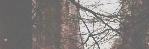 dancingnathan's profile banner image