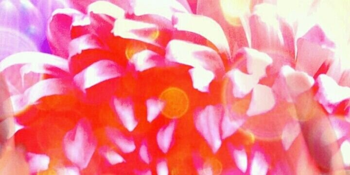 yuko07241001's profile banner image