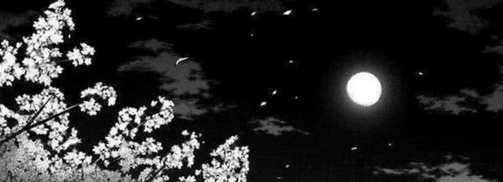 mallowlunaaa58's profile banner image