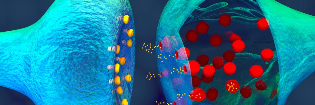 Know Science banner