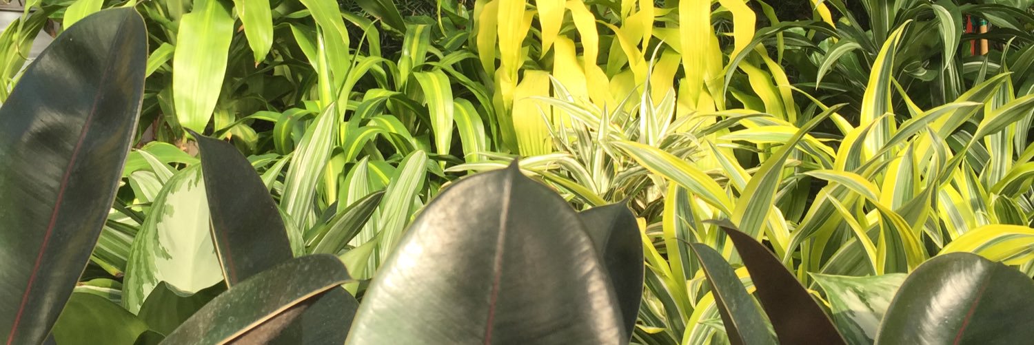 RSG_9's profile banner image
