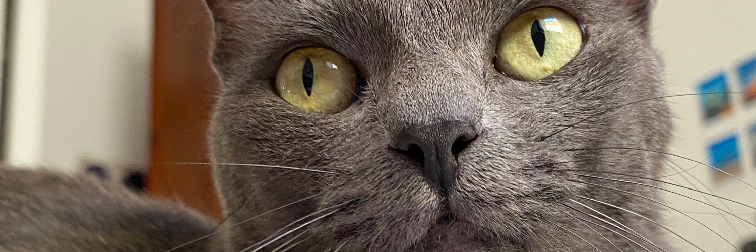 isafleck_'s profile banner image