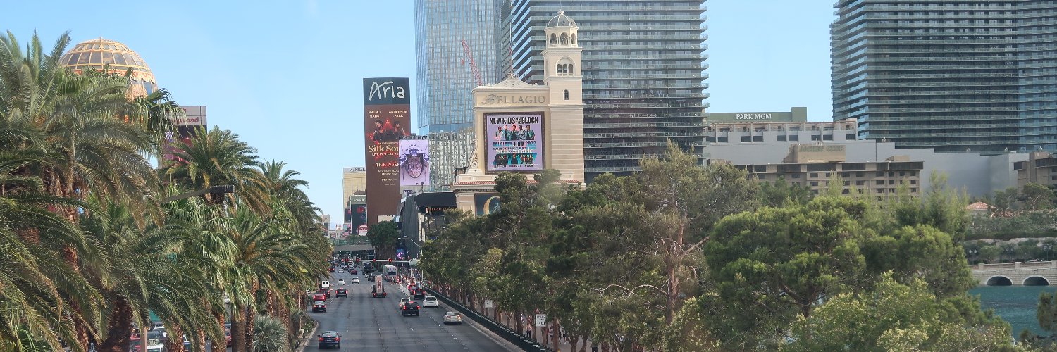 Vegas Poker Nomad / RiceIsASpoonFood banner