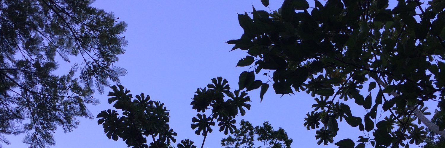 somelo171's profile banner image