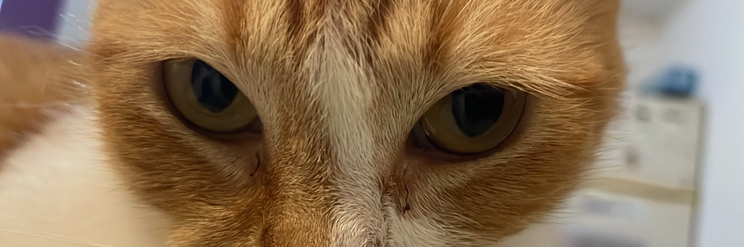 belencami11's profile banner image