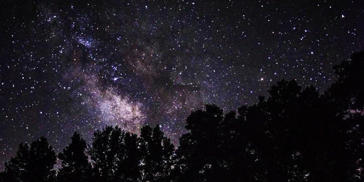 hollyelm's profile banner image