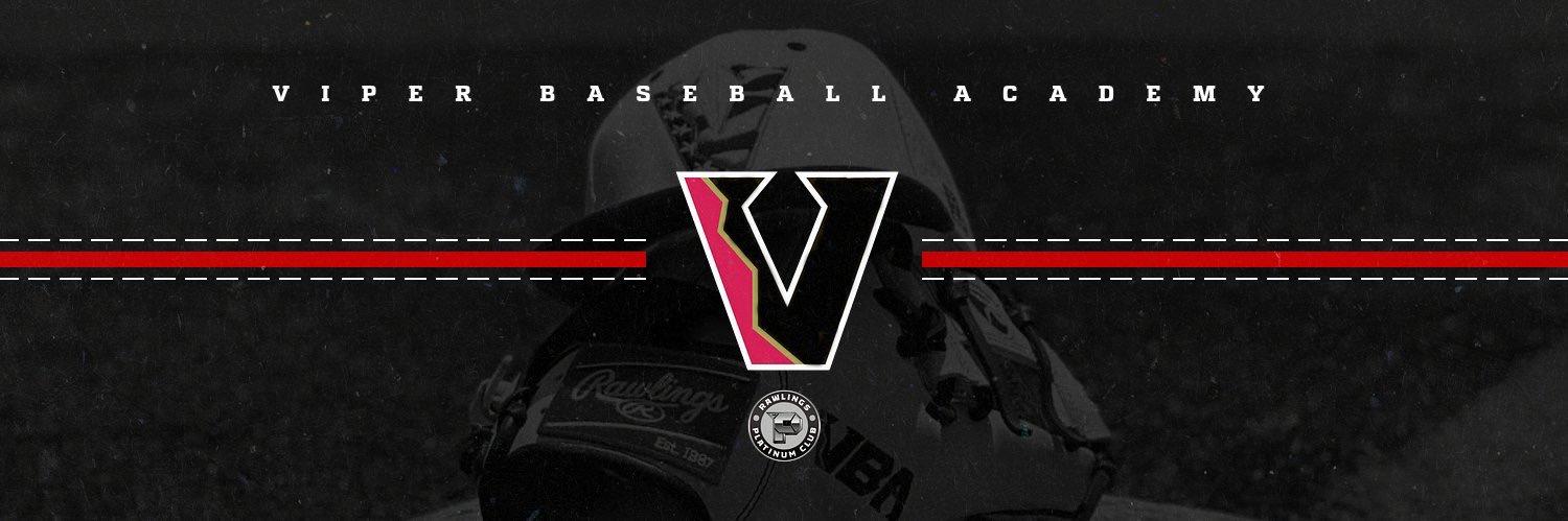 ViperBaseballAcademy banner