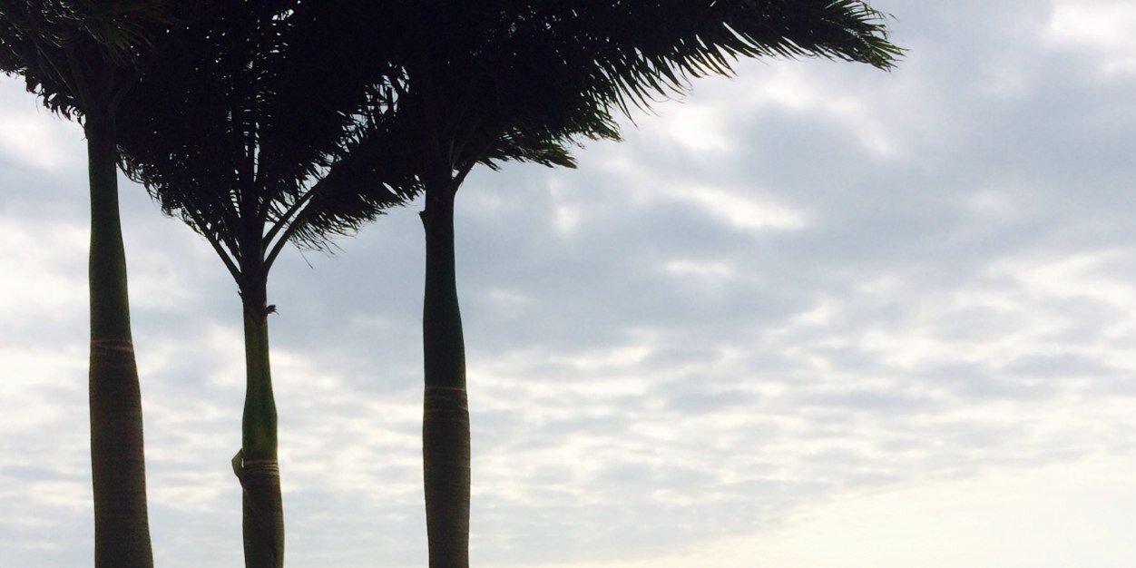 MarcosTello64's profile banner image