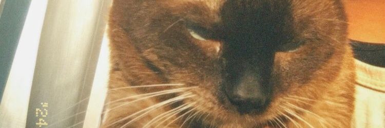Racnrd_'s profile banner image
