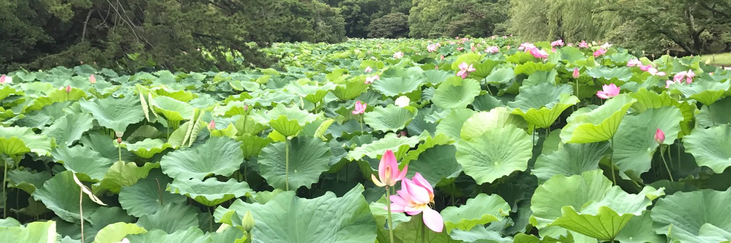 daisuki15403271's profile banner image