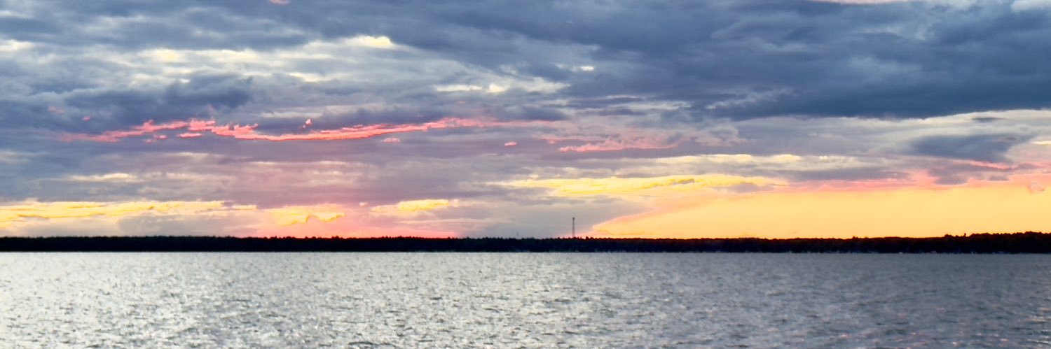 AnneNKenny's profile banner image