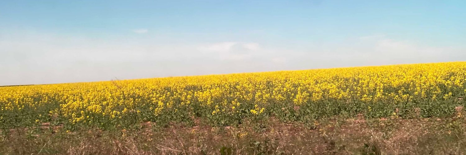 Phoebe Olhava, MD banner