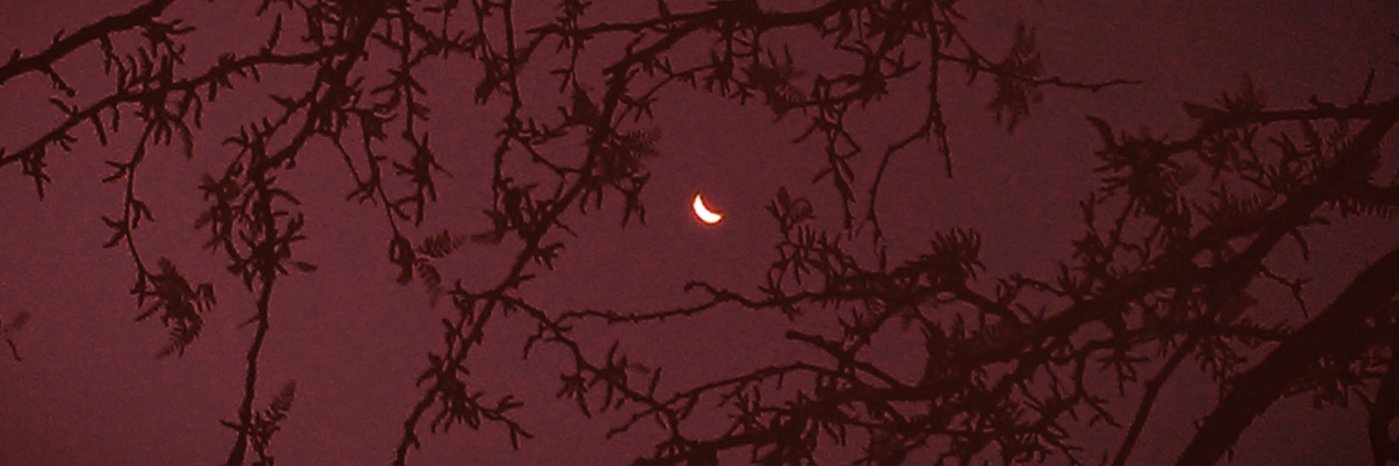 MistyPurpleLake's profile banner image