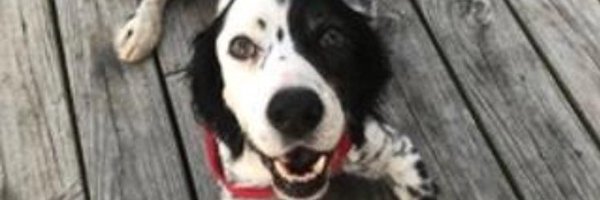 ever_other Profile Banner