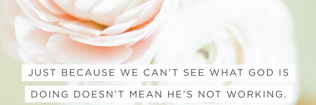AmandaJayneeee's profile banner image