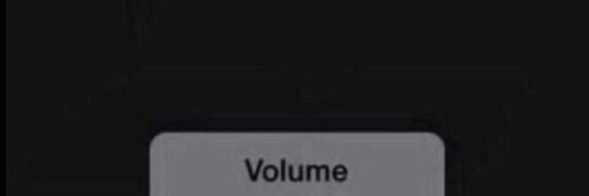 mollywammoth's profile banner image