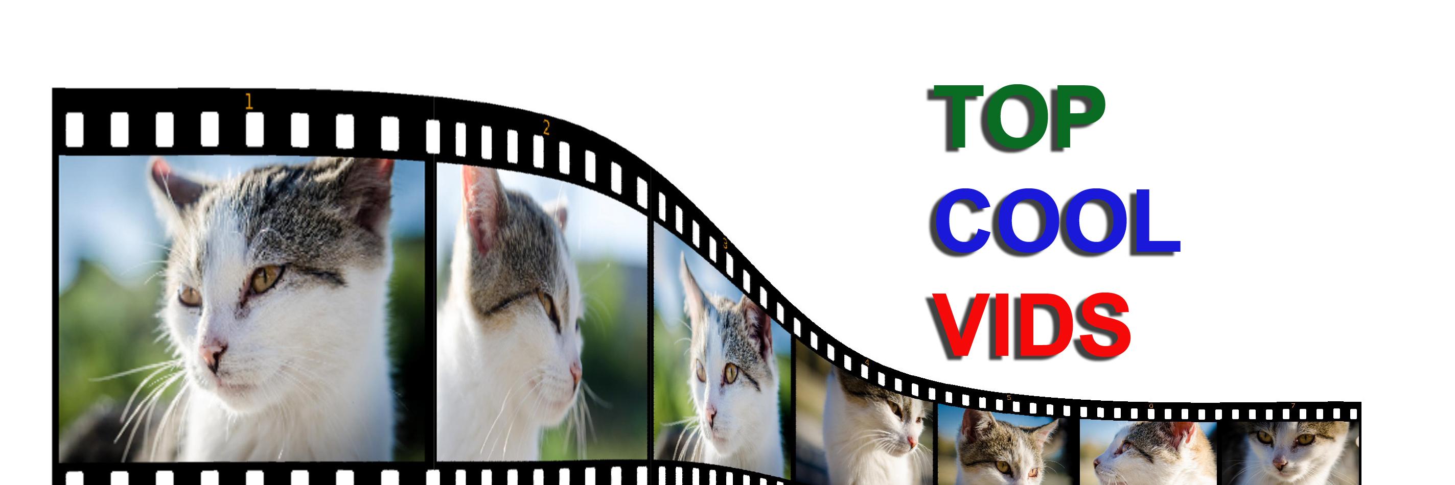 TopCoolVids's profile banner image