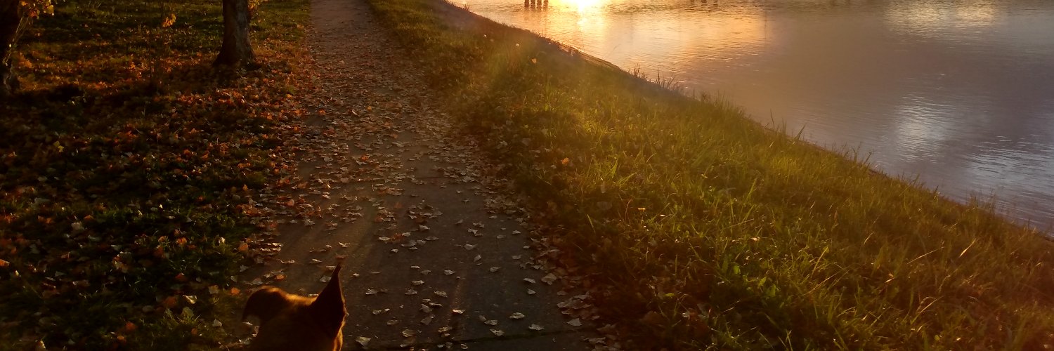 rocioreb_'s profile banner image