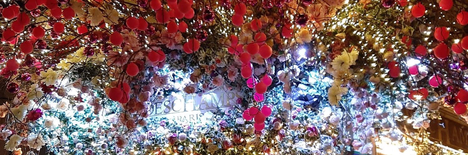 jodanthinne's profile banner image