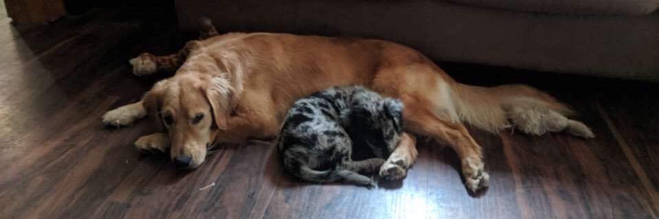 LivChristie's profile banner image