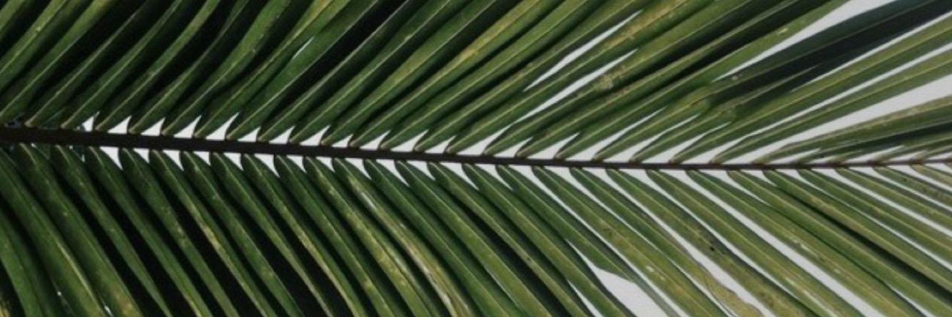 IMKADEN's profile banner image