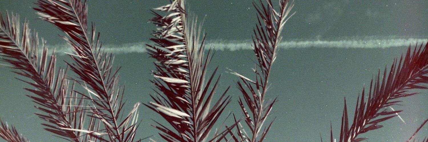 eskualde's profile banner image