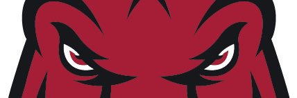 arkansasguy97's profile banner image