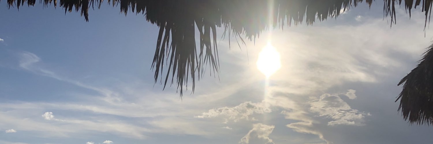 CesarinWings's profile banner image