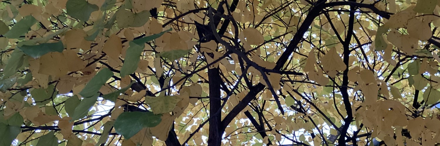 Lu3_666's profile banner image