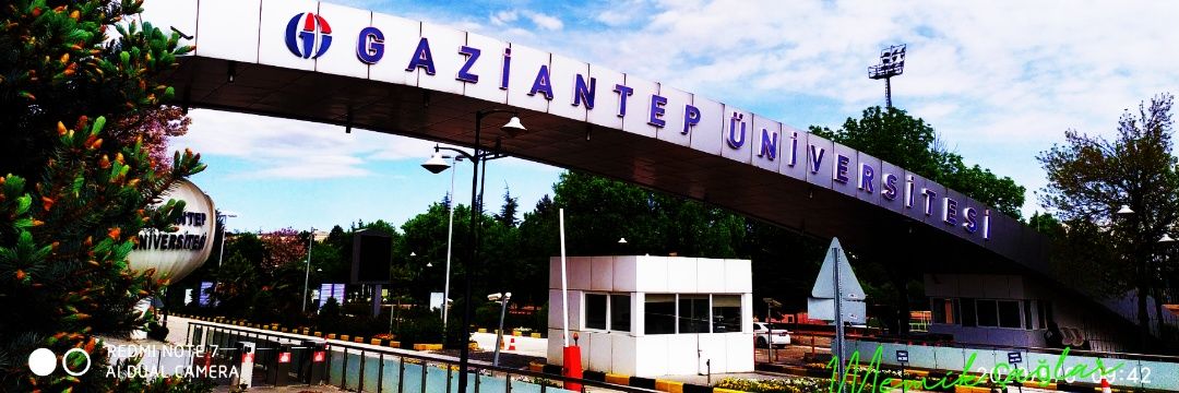 Memik Çağlar banner