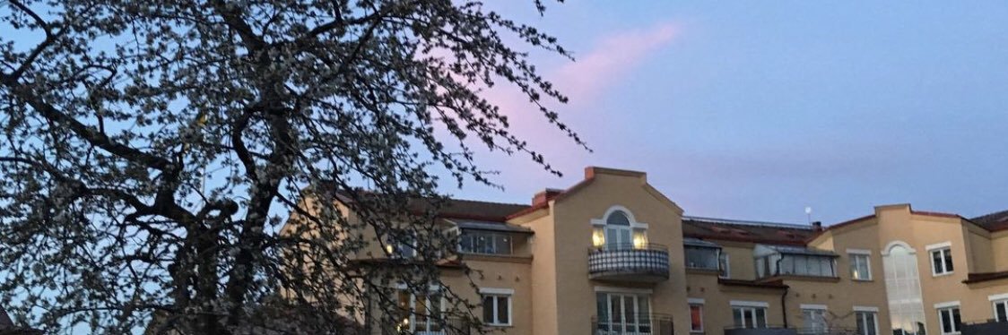 Hon som dricker te banner