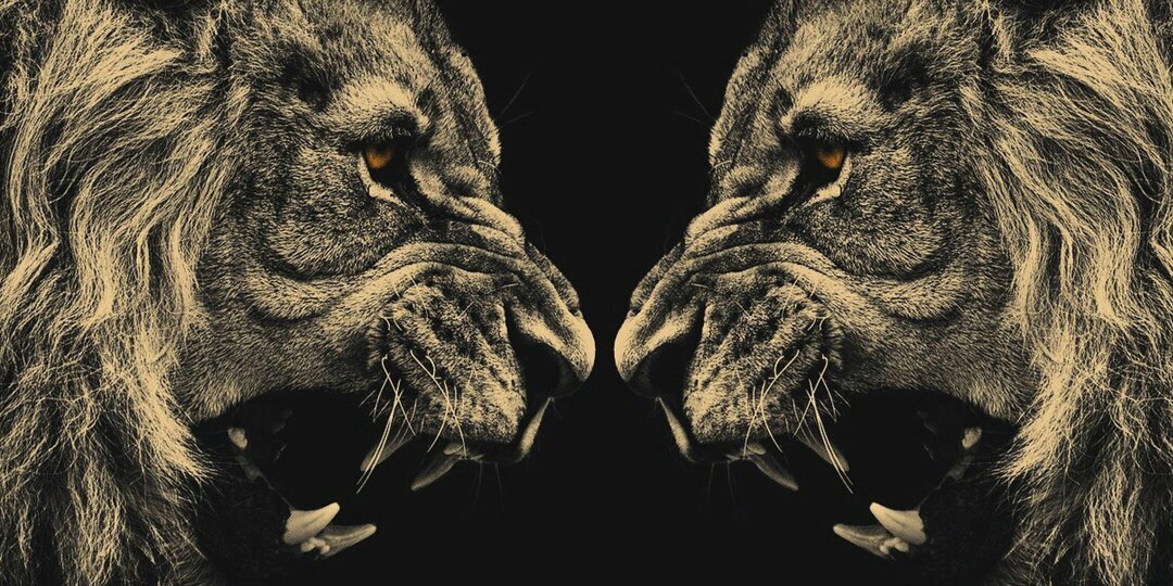 chris_gallitz's profile banner image
