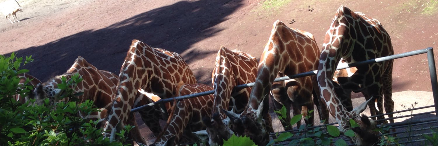 0702animal's profile banner image