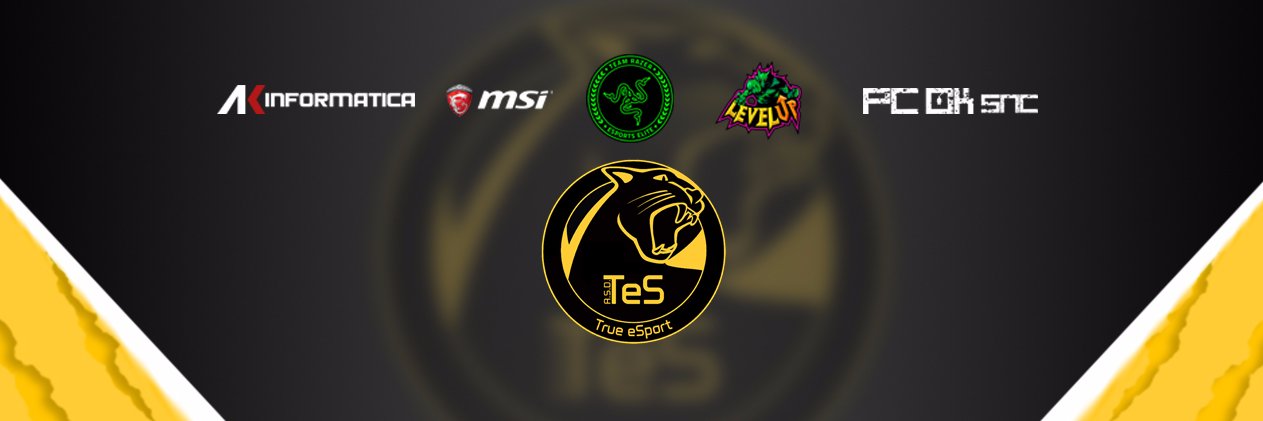 True eSport banner