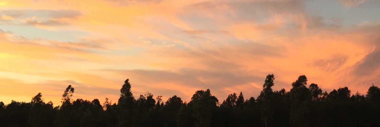 sweetescapee's profile banner image