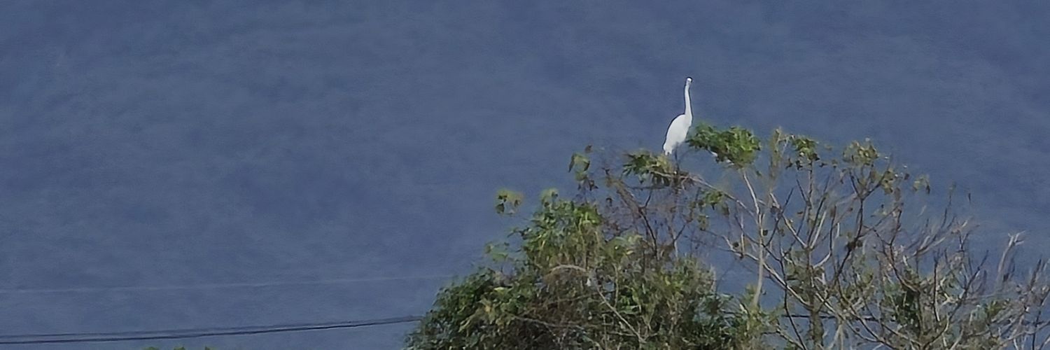 p9774424's profile banner image