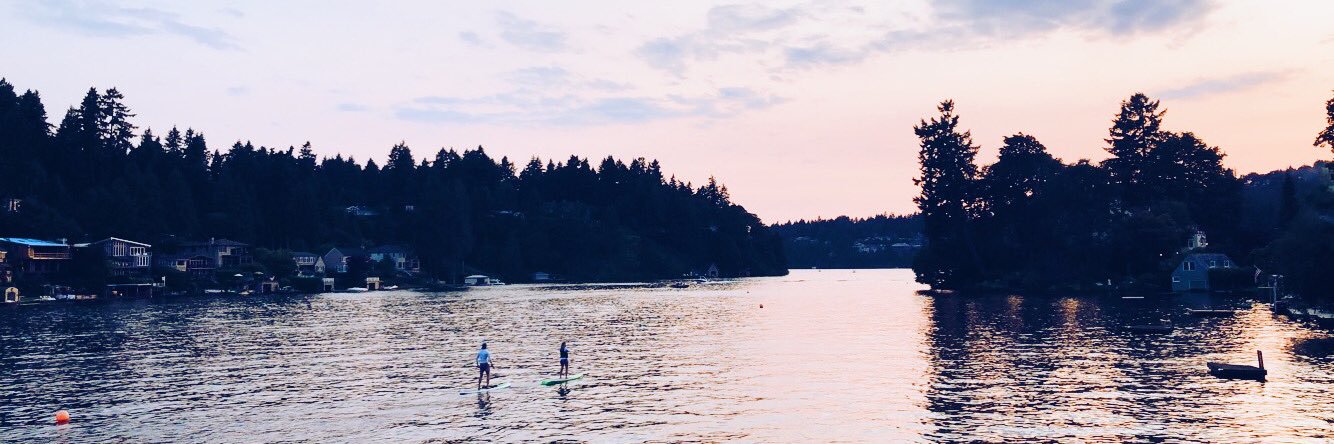 MaddySouza's profile banner image
