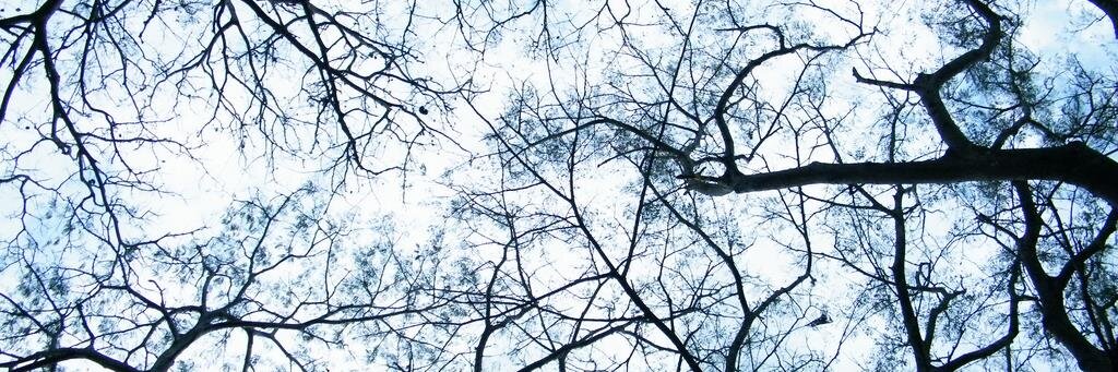 InstInvPsi's profile banner image