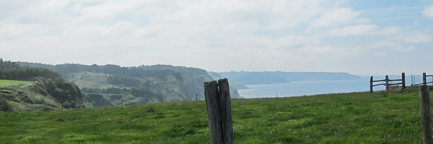 wuschelia's profile banner image