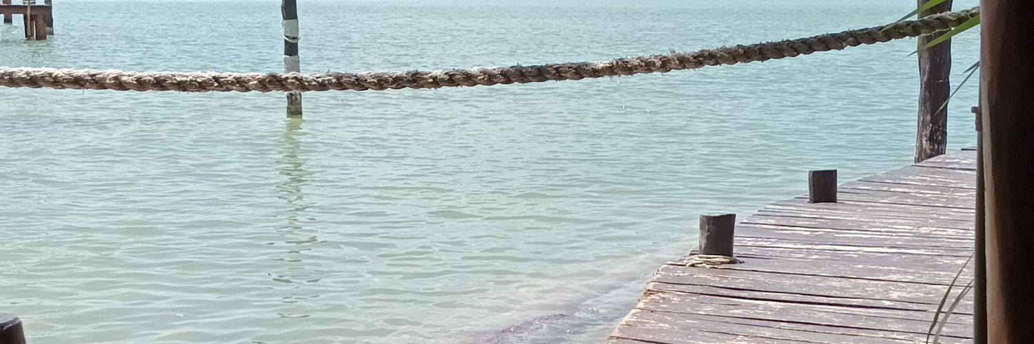 ainatflo's profile banner image