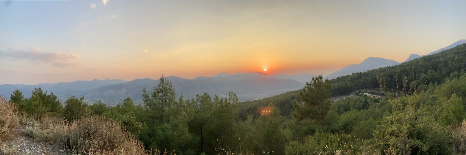 Alex banner