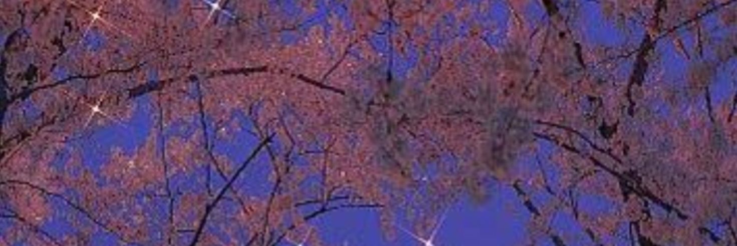 一(にのまえ) banner
