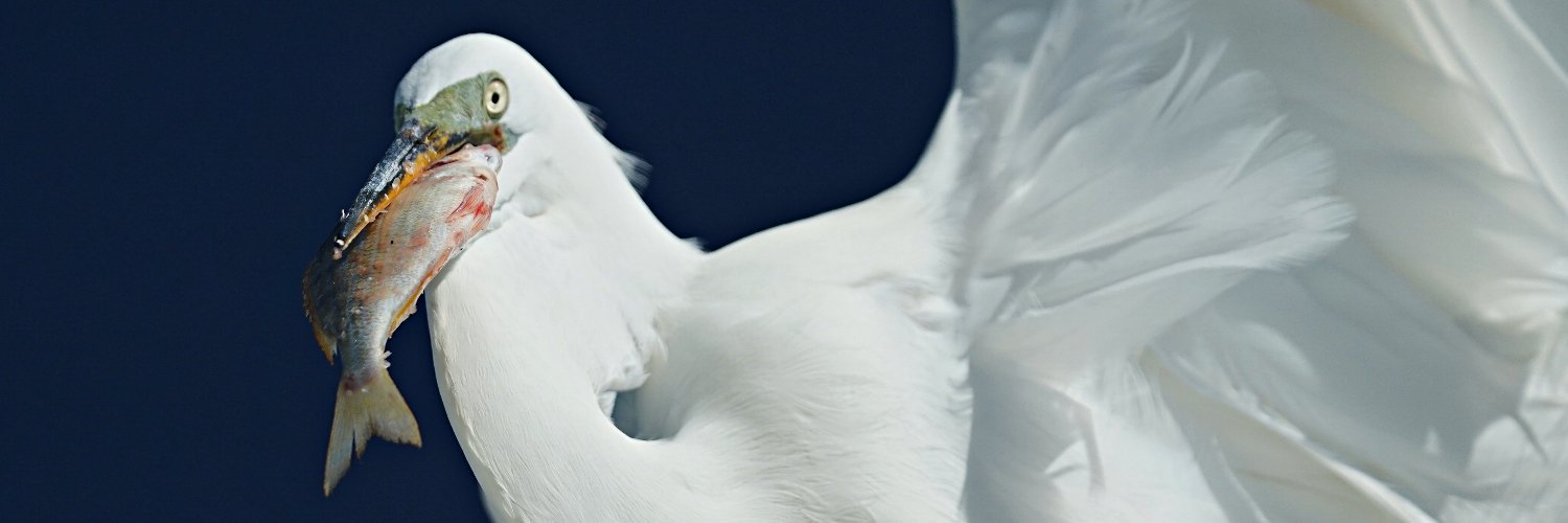 RickLWeber's profile banner image