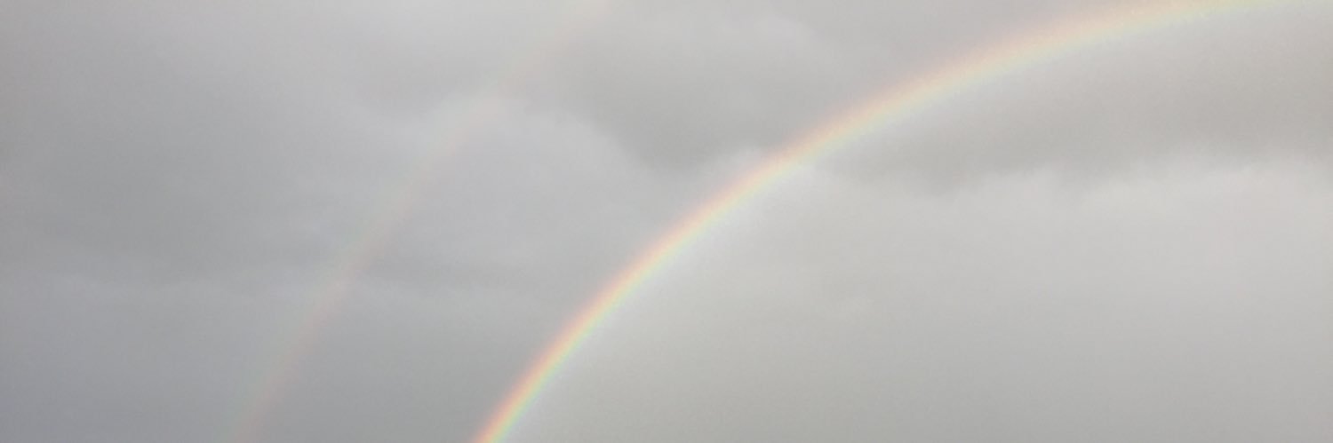 HelgaBechmann's profile banner image