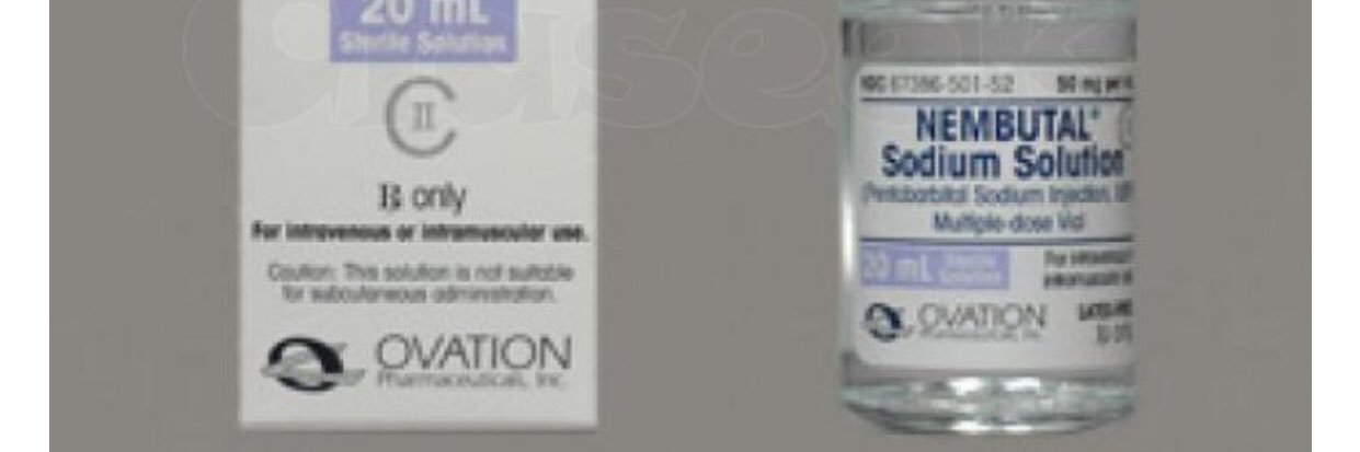 elfundacion's profile banner image