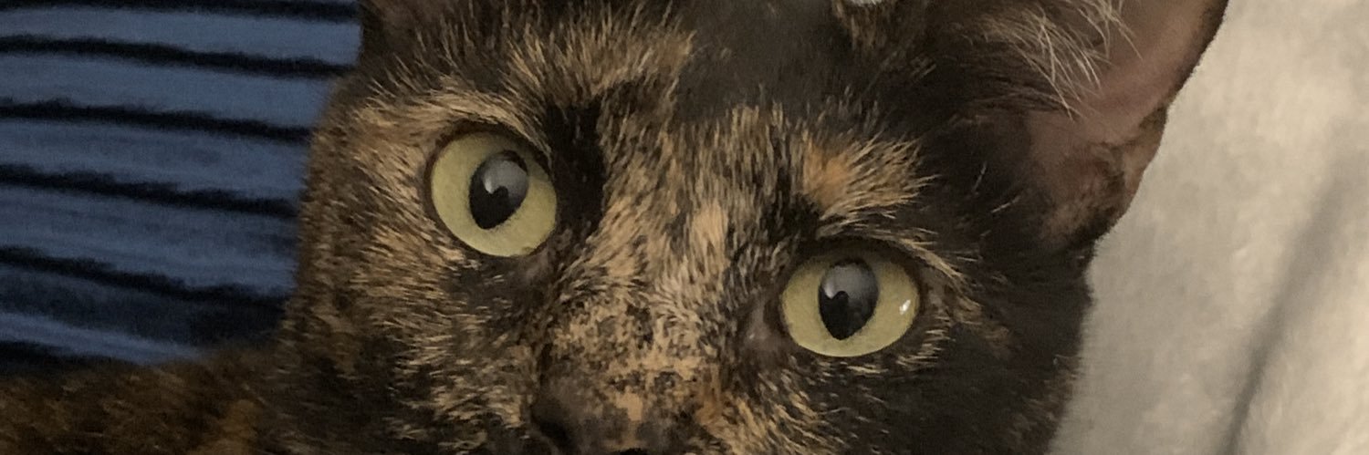 _kittykatniss's profile banner image